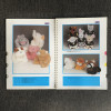 Catalogue Ajena Collection 1989
